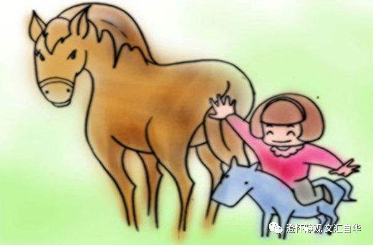 甲骨文趣考——马