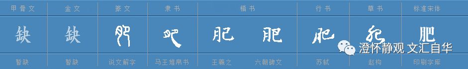 “肥”在古代可算是褒义词，只是生产力膨胀才让人类有了以瘦为美的审美观（文汇·自华 31）