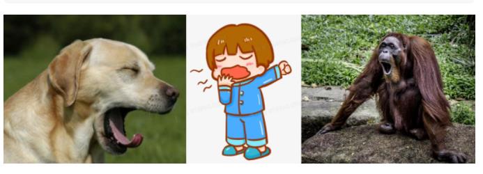 打哈“欠”，其实益处多多